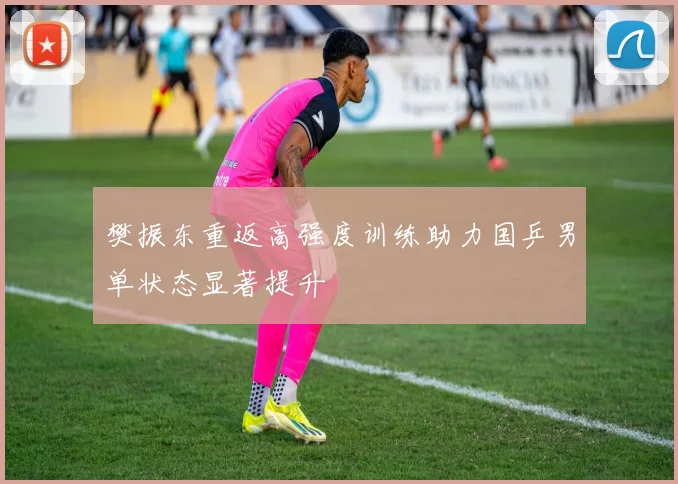 樊振东重返高强度训练助力国乒男单状态显著提升